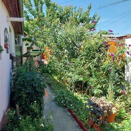 Casa Calin Villa Tulcea Buitenkant foto