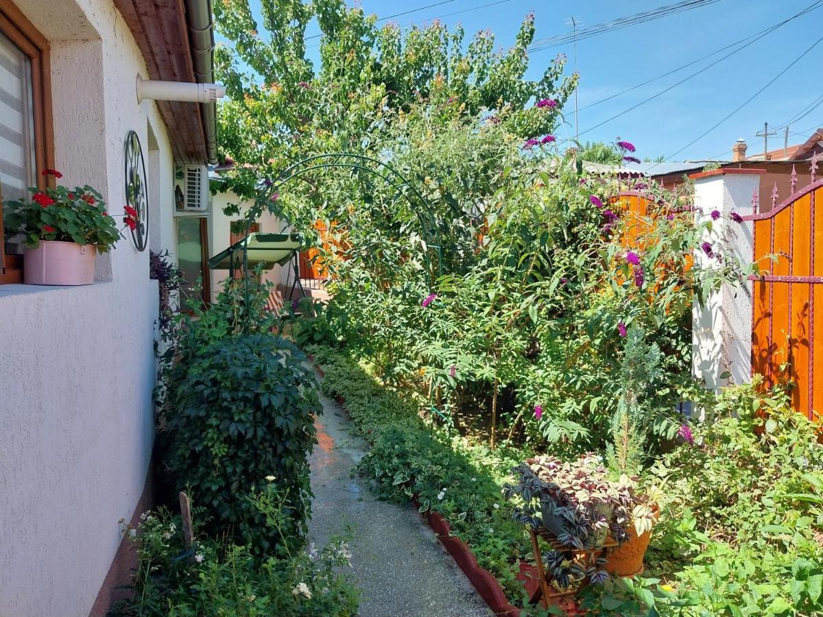 Casa Calin Villa Tulcea Buitenkant foto